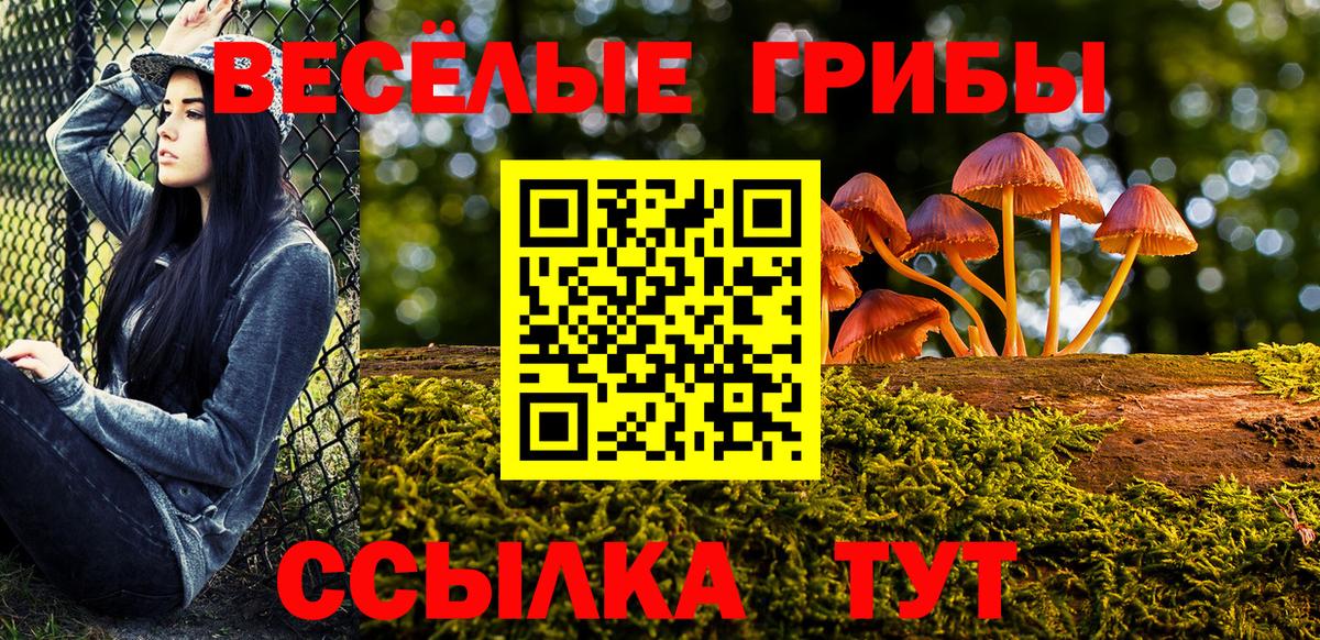 Зеленогорск  Галлюциногенные грибы мицелий  Вход с VPN  Псилоцибиновые грибы MAGIC MUSHROOMS 